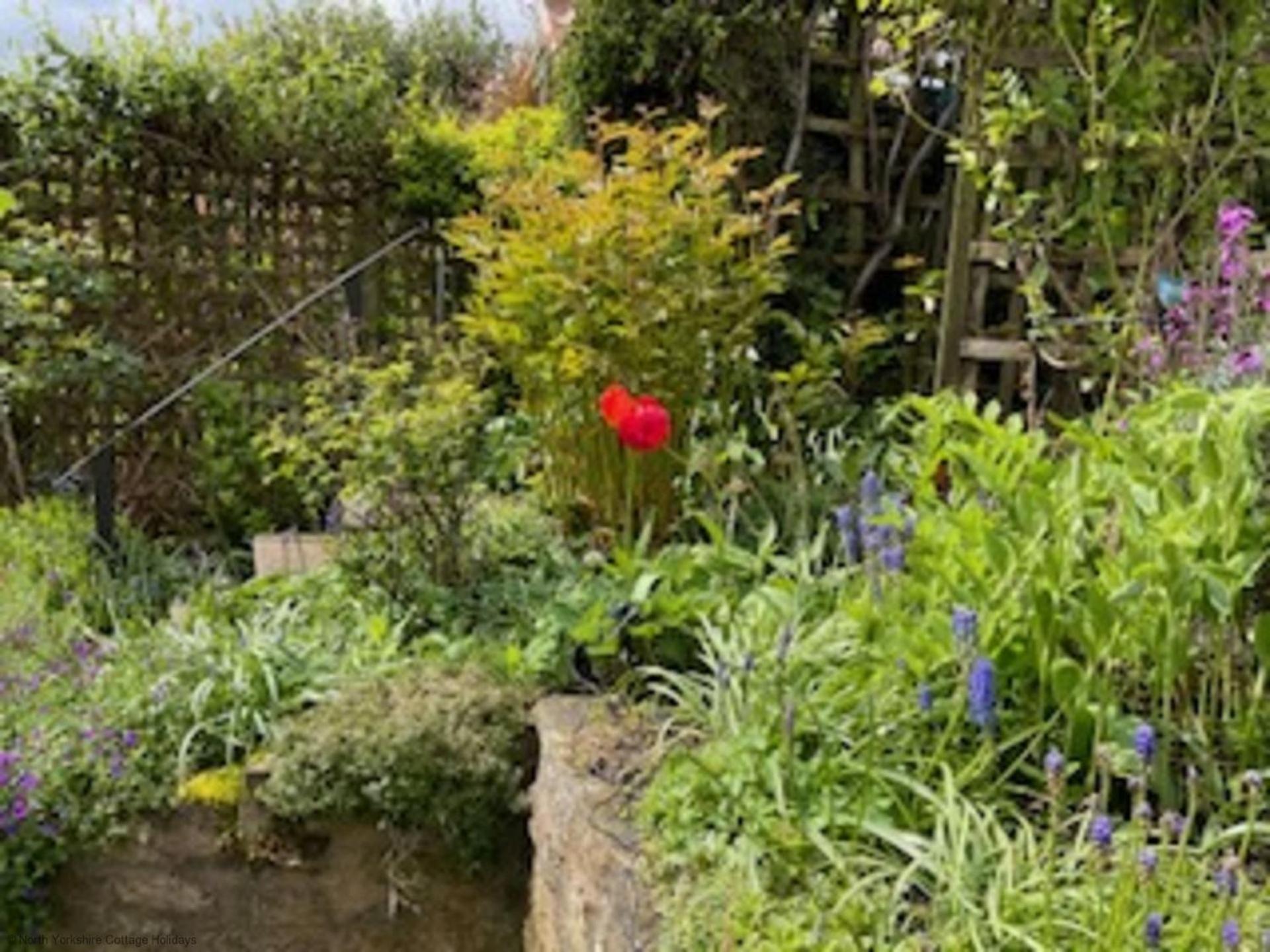 Picturesque Stone Cottage In The Heart Of North Yorkshire Village - Hideaway Cottage Ngoại thất bức ảnh